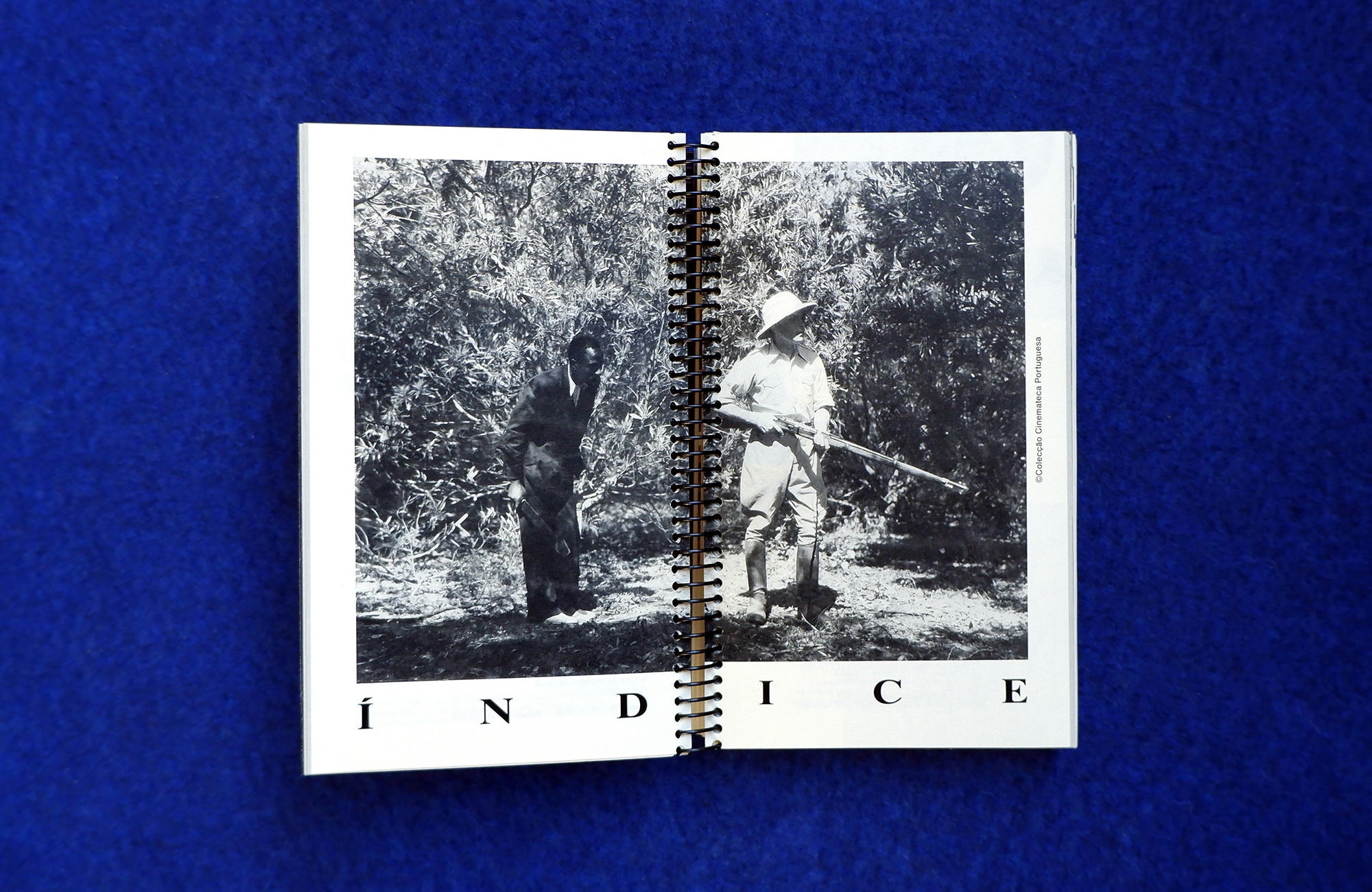 Índice