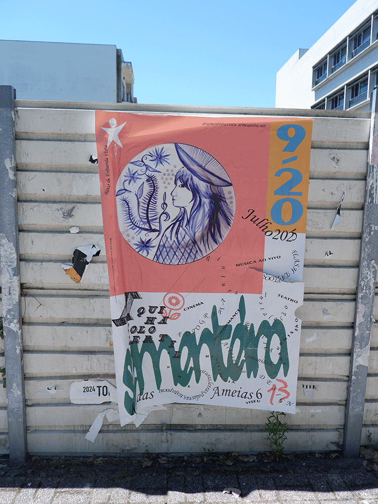 Sementeira 13