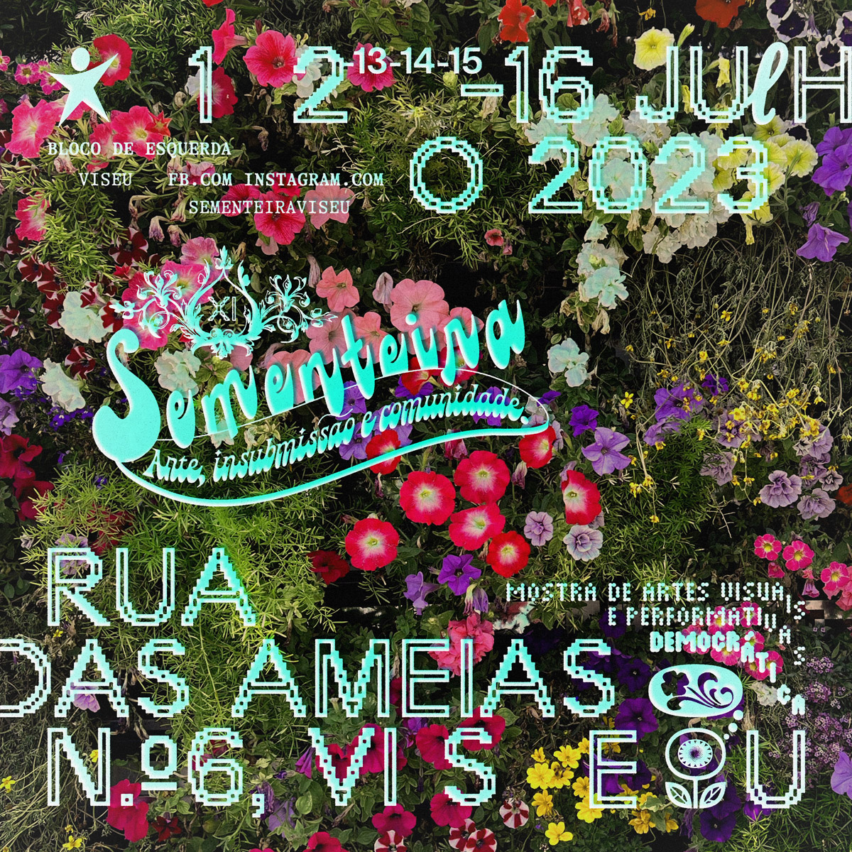 Sementeira XI